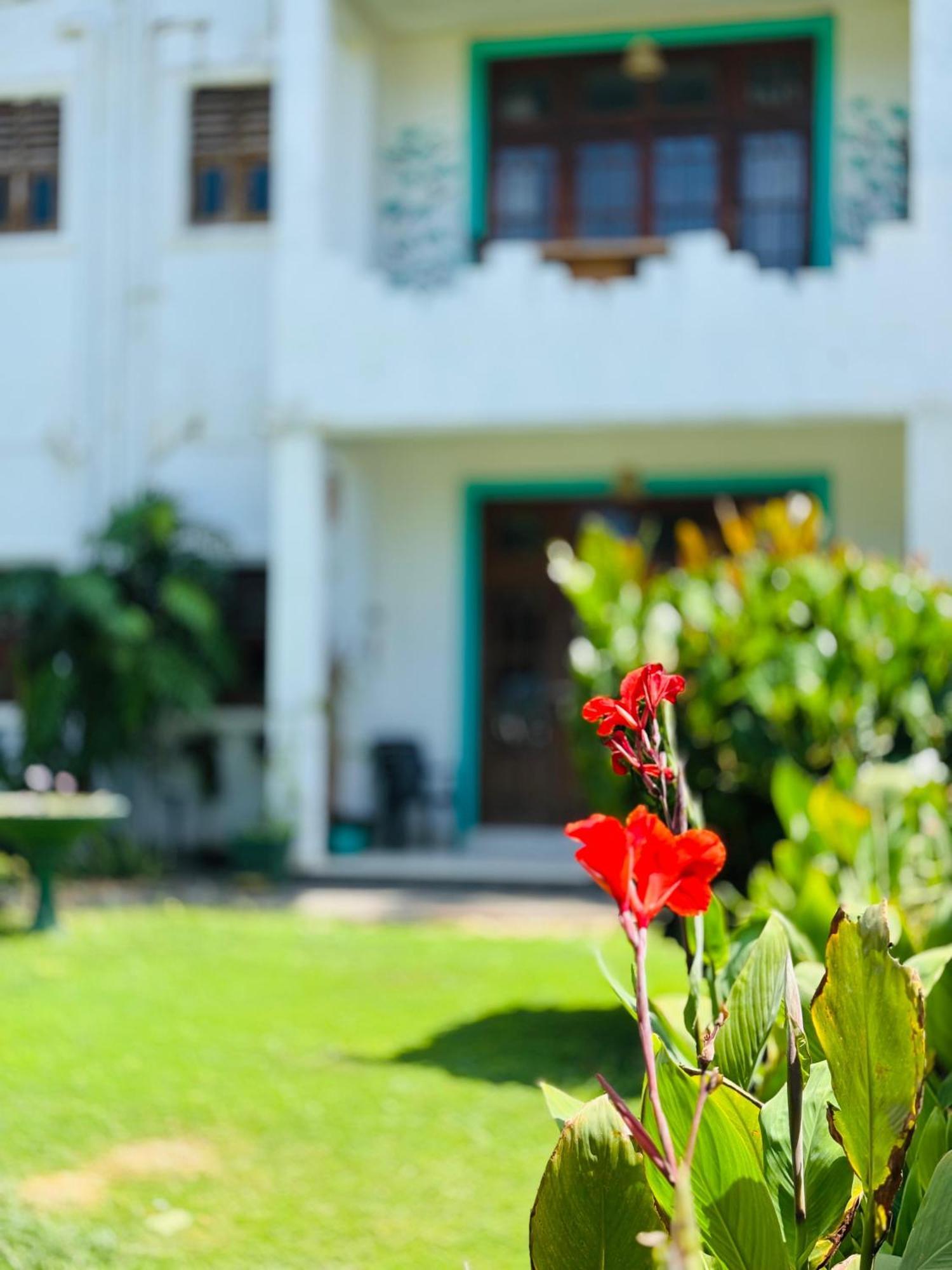 Balance Beach Resort Dikwella Kültér fotó